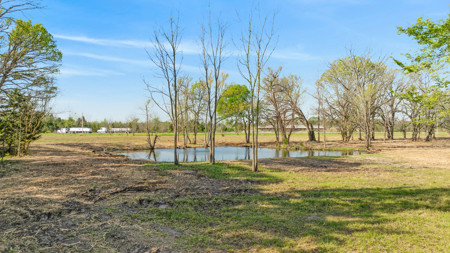 Peaceful 43± Acre Retreat Near Paris, TX - image 10