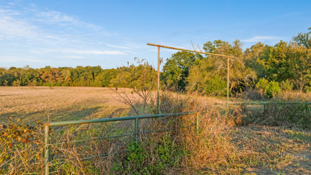 Peaceful 43± Acre Retreat Near Paris, TX - image 10