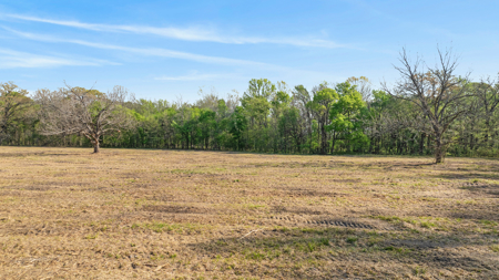 Peaceful 43± Acre Retreat Near Paris, TX - image 4