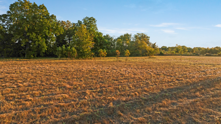 Peaceful 43± Acre Retreat Near Paris, TX - image 6