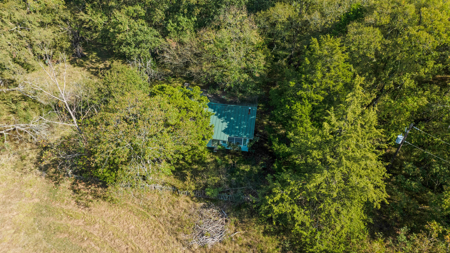 Peaceful 43± Acre Retreat Near Paris, TX - image 18