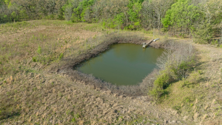 Peaceful 43± Acre Retreat Near Paris, TX - image 16