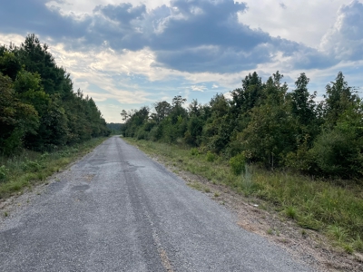 40 Acres Beauregaurd Parish LA - image 9