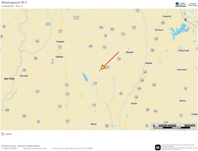 40 Acres Beauregaurd Parish LA - image 13