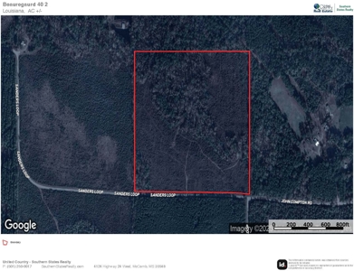 40 Acres Beauregaurd Parish LA - image 14