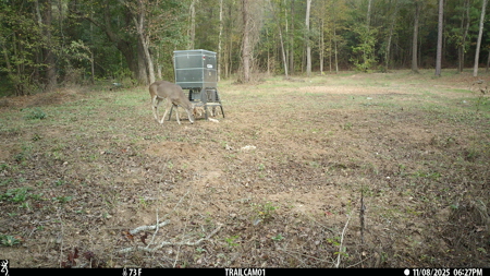 Texas Hunting & Recreation Property for Sale Winona TX Smith Co - image 33