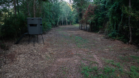 Texas Hunting & Recreation Property for Sale Winona TX Smith Co - image 3