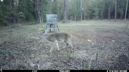 Texas Hunting & Recreation Property for Sale Winona TX Smith Co - image 37