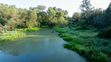 Texas Hunting & Recreation Property for Sale Winona TX Smith Co - image 13
