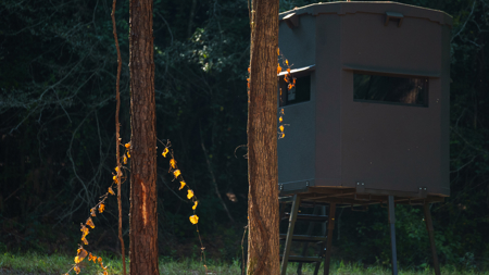 Texas Hunting & Recreation Property for Sale Winona TX Smith Co - image 24