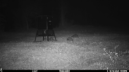 Texas Hunting & Recreation Property for Sale Winona TX Smith Co - image 40