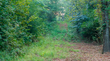 Texas Hunting & Recreation Property for Sale Winona TX Smith Co - image 5