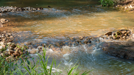 Texas Hunting & Recreation Property for Sale Winona TX Smith Co - image 11