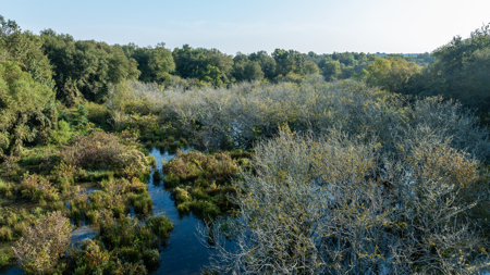 Texas Hunting & Recreation Property for Sale Winona TX Smith Co - image 16