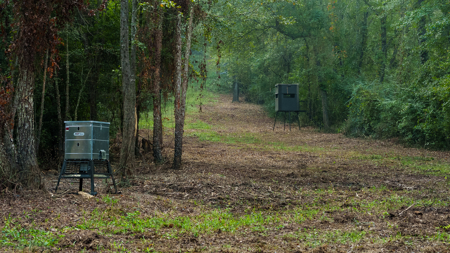 Texas Hunting & Recreation Property for Sale Winona TX Smith Co - image 8
