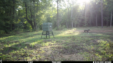 Texas Hunting & Recreation Property for Sale Winona TX Smith Co - image 30