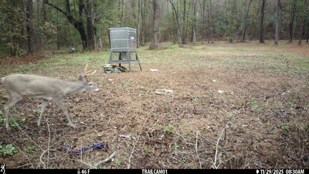 Texas Hunting & Recreation Property for Sale Winona TX Smith Co - image 38