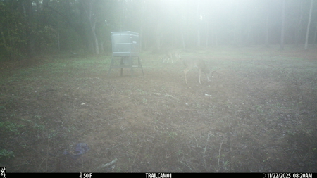 Texas Hunting & Recreation Property for Sale Winona TX Smith Co - image 32