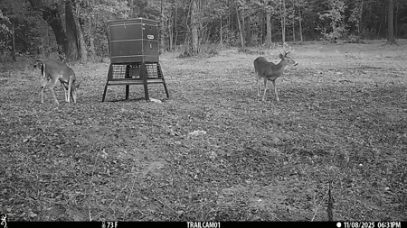 Texas Hunting & Recreation Property for Sale Winona TX Smith Co - image 34