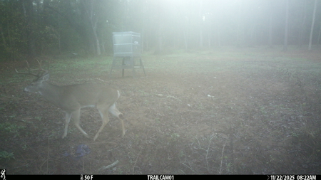 Texas Hunting & Recreation Property for Sale Winona TX Smith Co - image 31