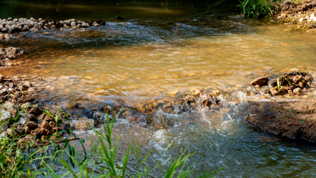 Texas Hunting & Recreation Property for Sale Winona TX Smith Co - image 25