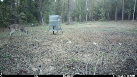 Texas Hunting & Recreation Property for Sale Winona TX Smith Co - image 35