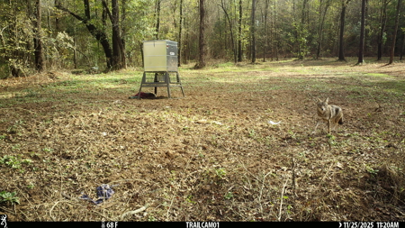 Texas Hunting & Recreation Property for Sale Winona TX Smith Co - image 29