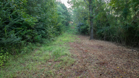 Texas Hunting & Recreation Property for Sale Winona TX Smith Co - image 4