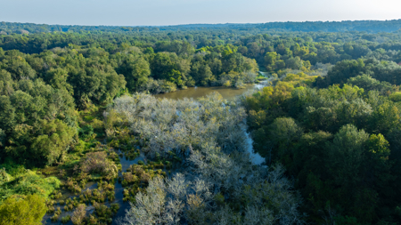 Texas Hunting & Recreation Property for Sale Winona TX Smith Co - image 1