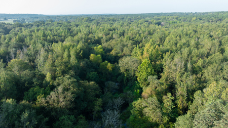 Texas Hunting & Recreation Property for Sale Winona TX Smith Co - image 15