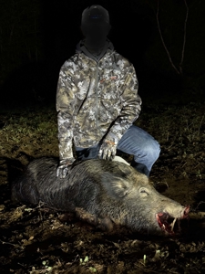 Texas Hunting & Recreation Property for Sale Winona TX Smith Co - image 28