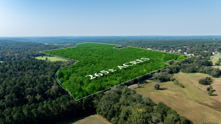 Texas Hunting & Recreation Property for Sale Winona TX Smith Co - image 2