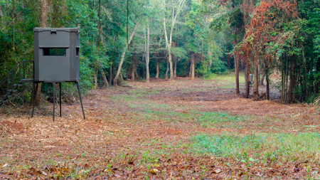 Texas Hunting & Recreation Property for Sale Winona TX Smith Co - image 6