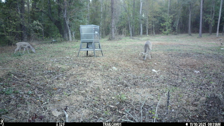 Texas Hunting & Recreation Property for Sale Winona TX Smith Co - image 36