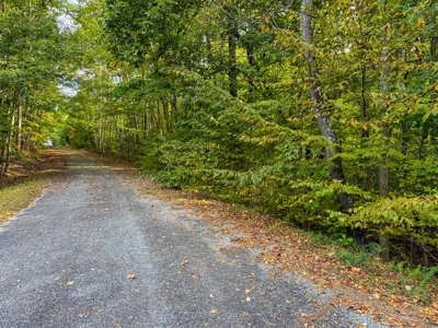 1.5± Acre Lake Access Lot |Buffalo Junction, VA - image 13
