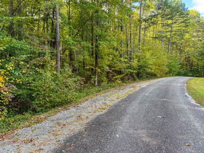1.5± Acre Lake Access Lot |Buffalo Junction, VA - image 12