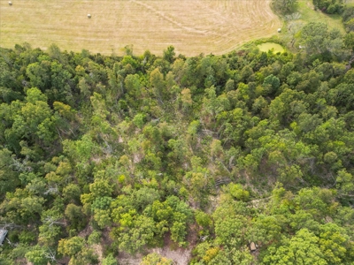 4.73 Acres of Unrestricted Land in Scenic Ozark County - image 5