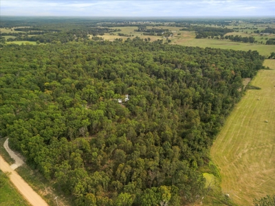 4.73 Acres of Unrestricted Land in Scenic Ozark County - image 2