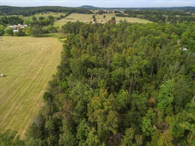 4.73 Acres of Unrestricted Land in Scenic Ozark County - image 6