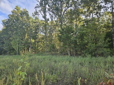 4.73 Acres of Unrestricted Land in Scenic Ozark County - image 1
