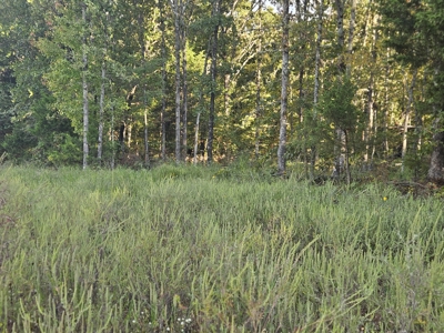 4.73 Acres of Unrestricted Land in Scenic Ozark County - image 4