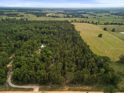 4.73 Acres of Unrestricted Land in Scenic Ozark County - image 3