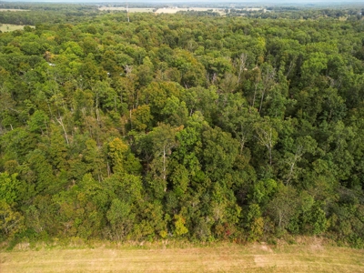 4.73 Acres of Unrestricted Land in Scenic Ozark County - image 7