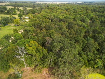 4.73 Acres of Unrestricted Land in Scenic Ozark County - image 8