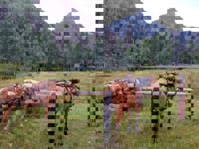 South CO Outfitting Business for sale (NO DEEDED PROPERTY) - image 21