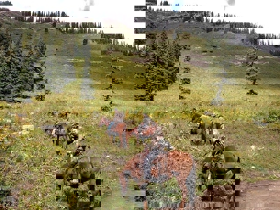 South CO Outfitting Business for sale (NO DEEDED PROPERTY) - image 28