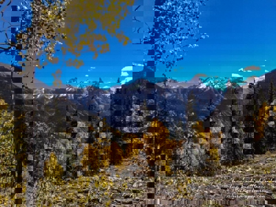 South CO Outfitting Business for sale (NO DEEDED PROPERTY) - image 23