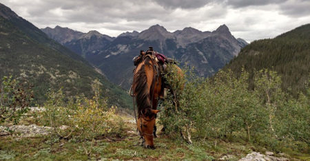 South CO Outfitting Business for sale (NO DEEDED PROPERTY) - image 39