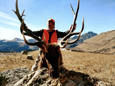 South CO Outfitting Business for sale (NO DEEDED PROPERTY) - image 24