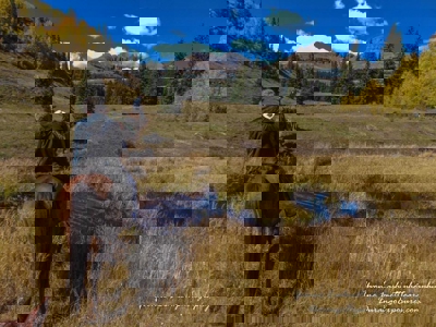 South CO Outfitting Business for sale (NO DEEDED PROPERTY) - image 26